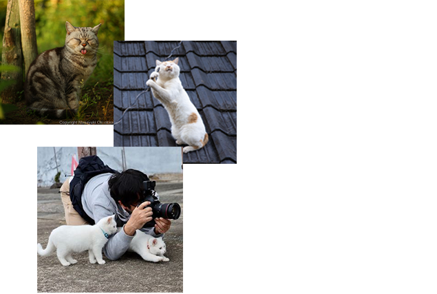 猫写真家。 1978年 兵庫県神戸市生まれ。2017年刊行の代表作「必死すぎるネコ」は、「天才!志村どうぶつ園」「スッキリ」などで紹介されて話題になる。昼夜問わず猫らしい瞬間をひたすら撮りつづける。